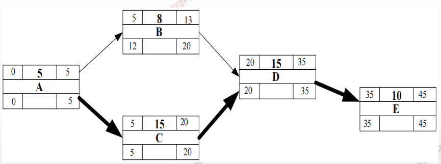 image-20210303224440526